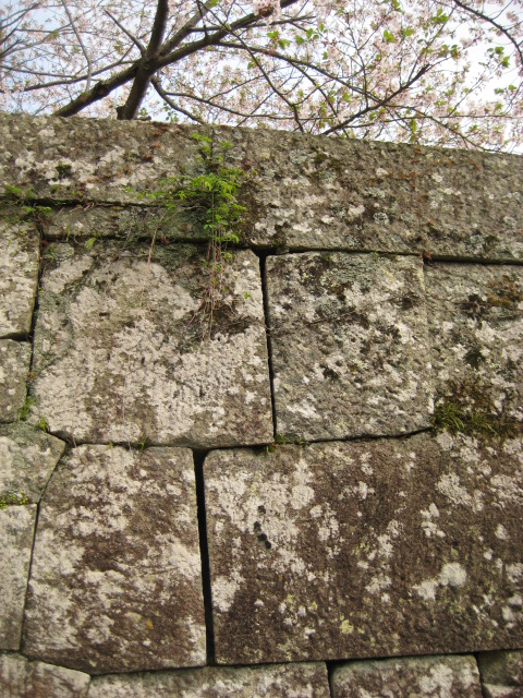 d0147727_19262511.jpg