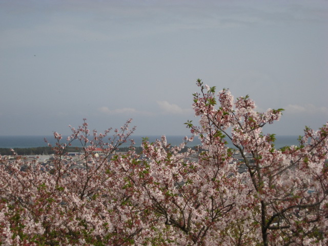d0147727_1943037.jpg