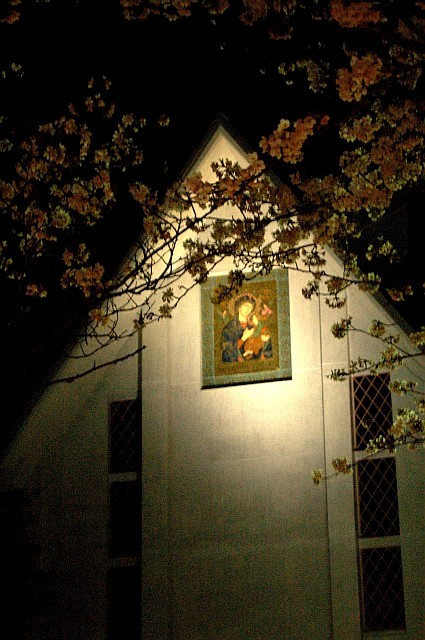 e0107030_9573558.jpg