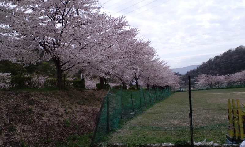 e0137731_11542654.jpg
