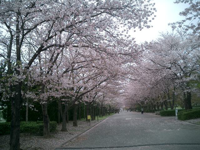 c0114833_0473413.jpg