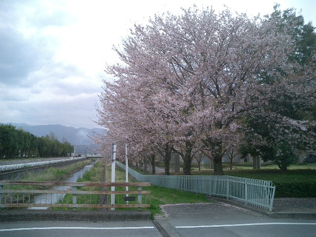 c0114833_0483697.jpg