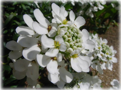 f0002833_1837204.jpg
