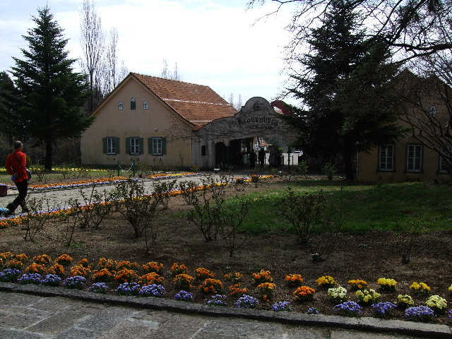 c0000134_1444268.jpg