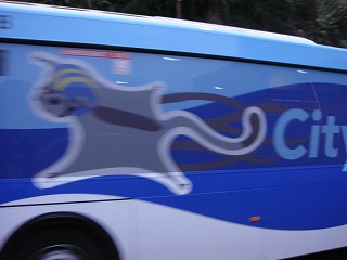 b0055835_20554811.jpg