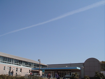 c0039936_395054.jpg