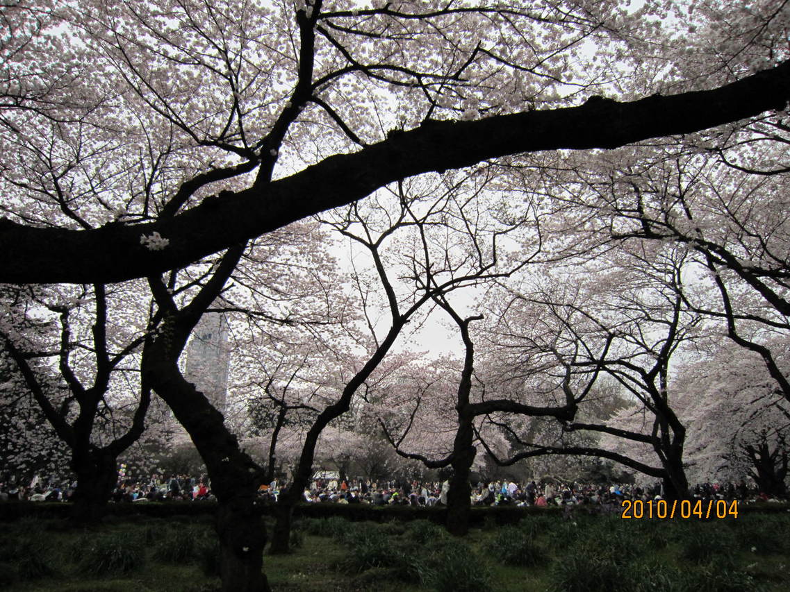 c0113837_1644349.jpg
