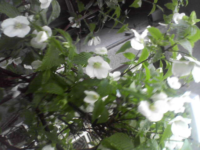 f0237037_18111776.jpg