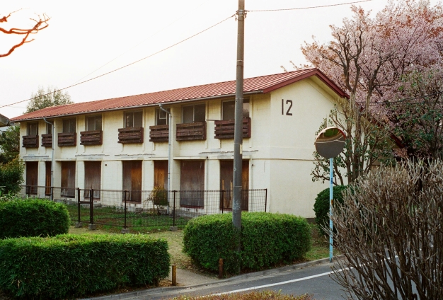 d0141239_1531176.jpg