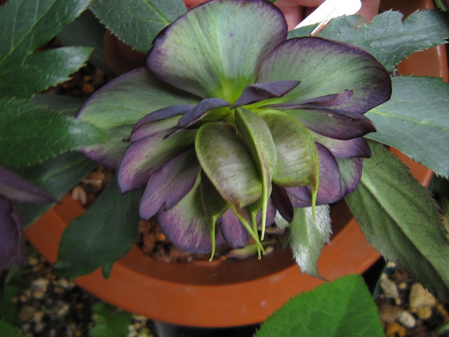 c0025140_22173638.jpg
