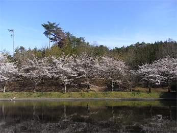e0160242_1791158.jpg