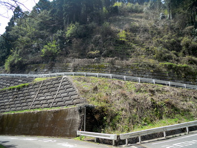 b0154343_23425558.jpg