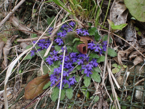 b0168843_1483975.jpg