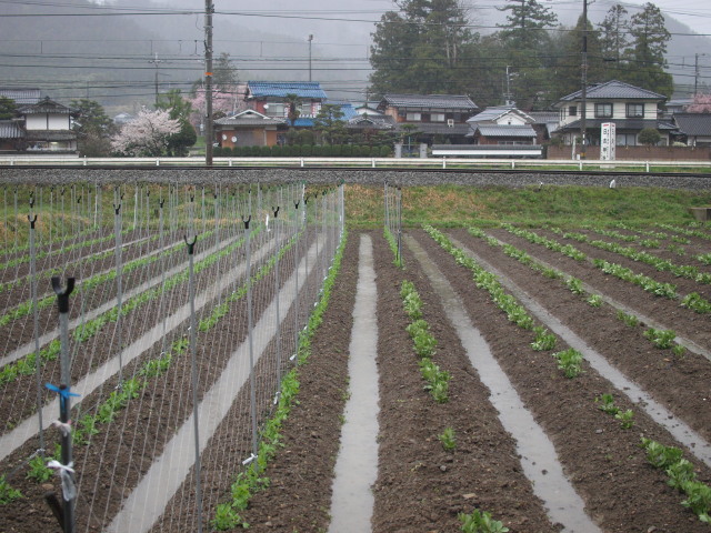 c0072843_18174311.jpg
