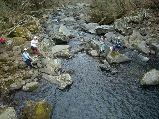 e0164643_1703238.jpg