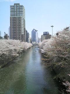f0073848_0504976.jpg