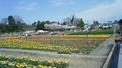 f0220349_13203329.jpg