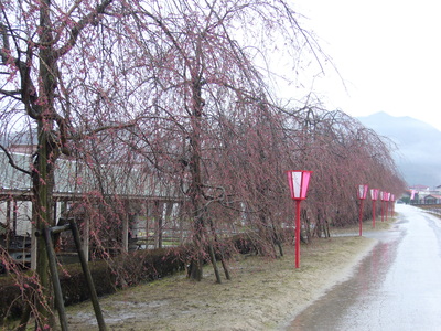 b0174451_816289.jpg