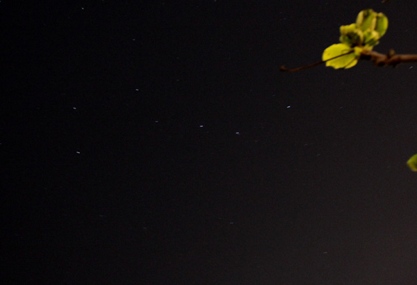 b0049152_1022474.jpg