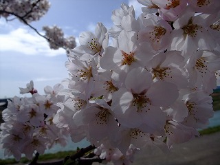 c0208355_11203841.jpg