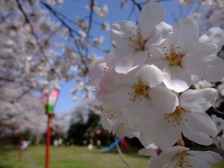 c0208355_1122351.jpg