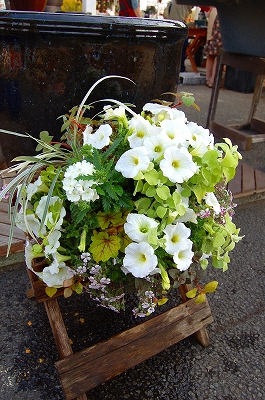 e0025655_553461.jpg