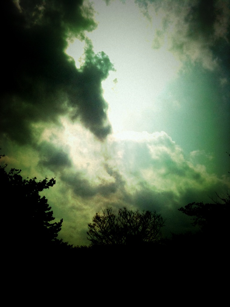 f0056359_2217496.jpg