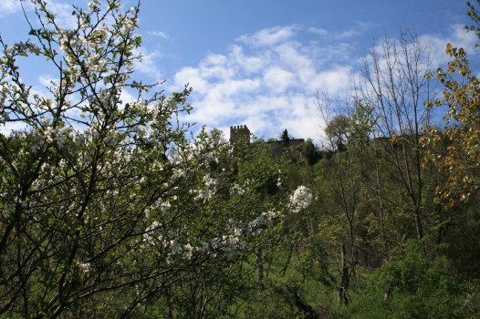 f0077159_19441191.jpg