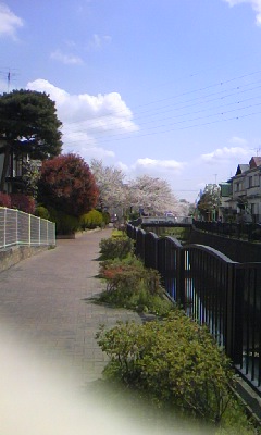 b0088361_2011859.jpg