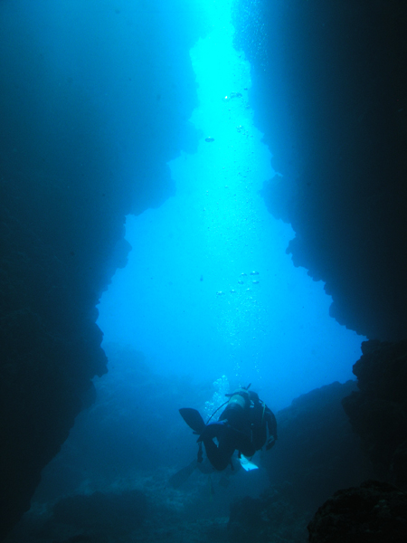 b0062363_7344397.jpg