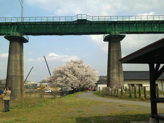 b0101263_13311727.gif