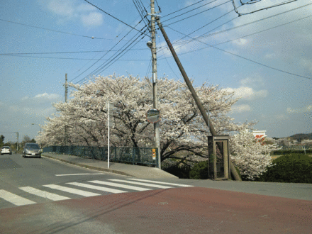 b0101263_1332218.gif