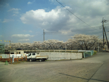 b0101263_13323450.gif