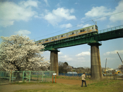 b0101263_1332387.gif