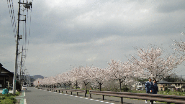 b0101263_13341289.gif