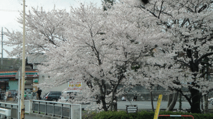 b0101263_13343396.gif