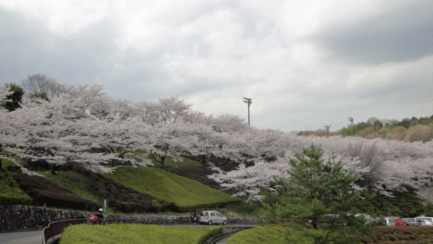 b0101263_13345192.gif