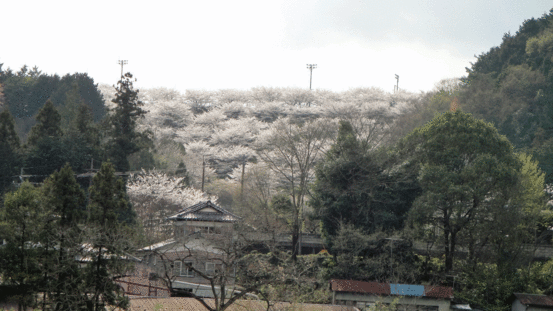 b0101263_13384133.gif