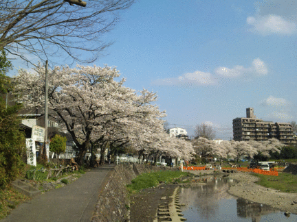 b0101263_1339267.gif