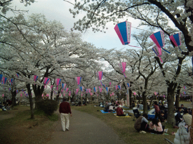 b0101263_13412068.gif