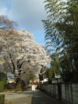 b0101263_13421015.gif