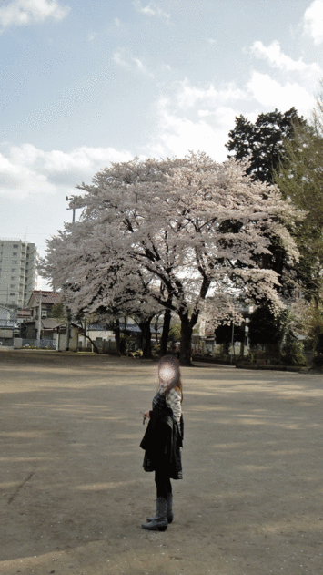 b0101263_13422299.gif