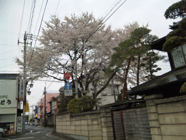 b0101263_13424296.gif