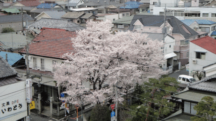 b0101263_13425916.gif