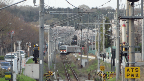 b0101263_13432573.gif