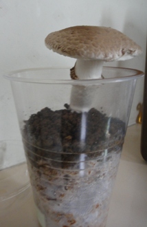 f0195963_2110147.jpg
