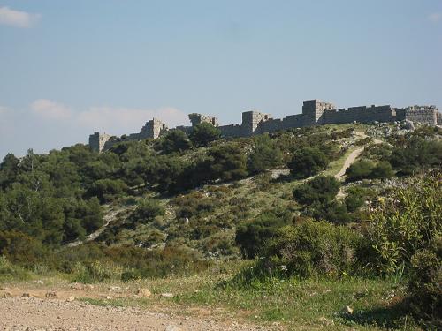 f0037264_19261.jpg
