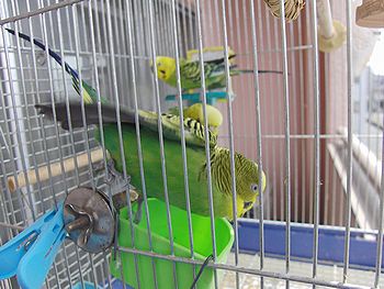 f0196665_0104072.jpg
