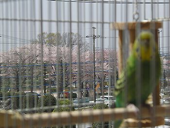 f0196665_014592.jpg