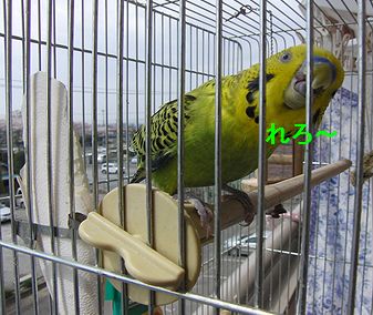 f0196665_073691.jpg